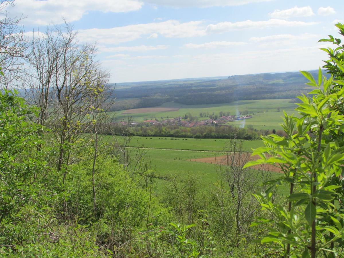 Bed and Breakfast La Taniere Douce Soulaucourt-sur-Mouzon Экстерьер фото