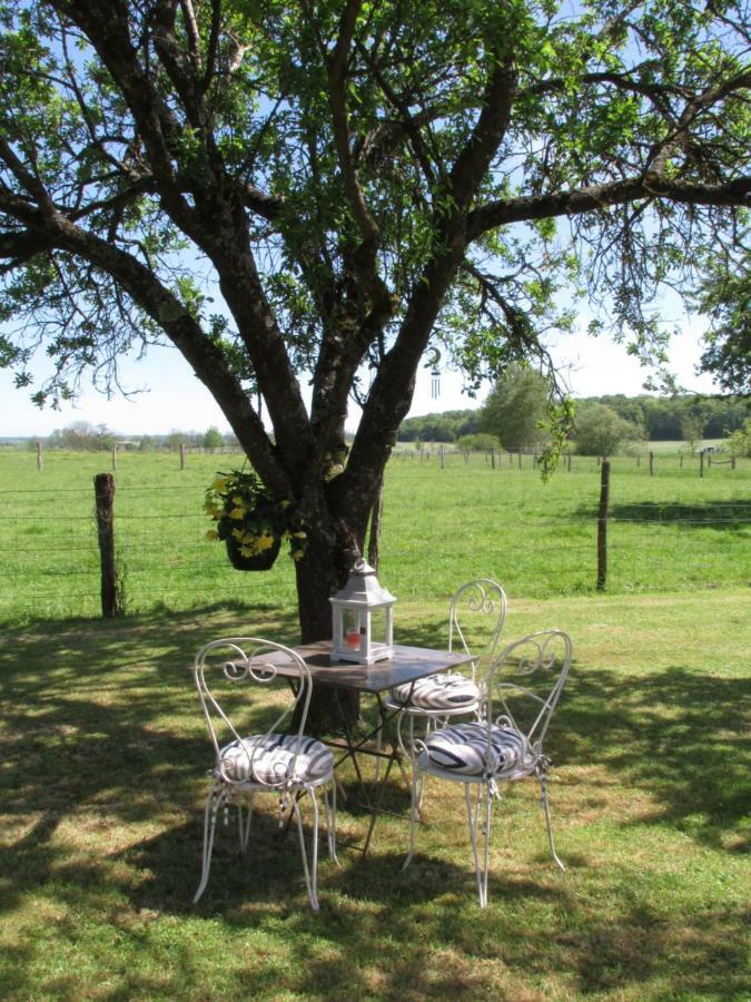 Bed and Breakfast La Taniere Douce Soulaucourt-sur-Mouzon Экстерьер фото