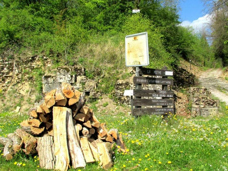 Bed and Breakfast La Taniere Douce Soulaucourt-sur-Mouzon Экстерьер фото